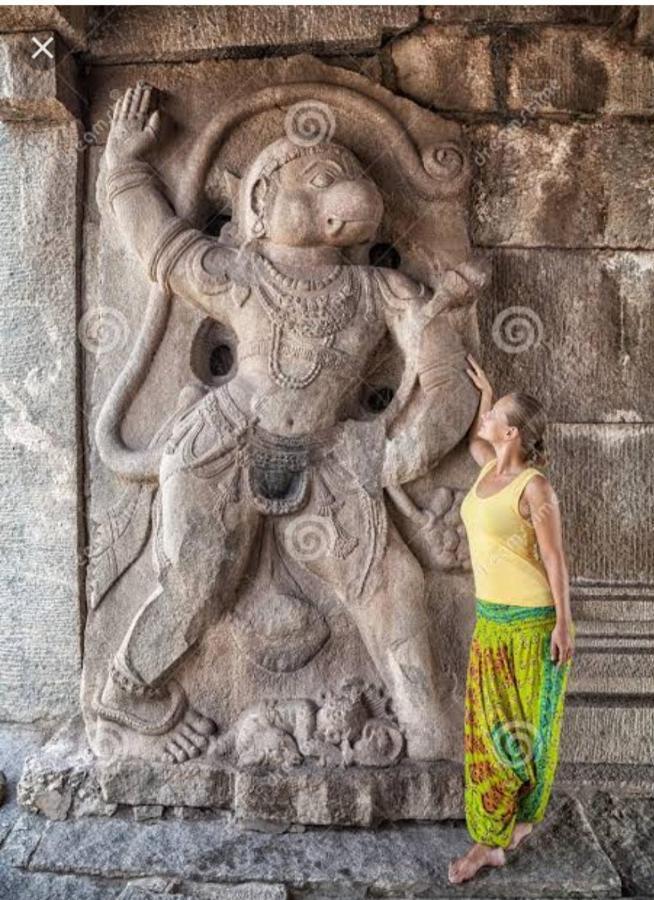 Lohit Homestay Hampi Bagian luar foto